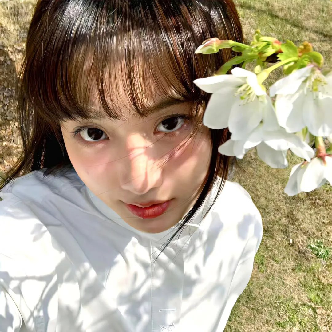 演员 阿曼达