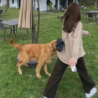 推荐 执笔